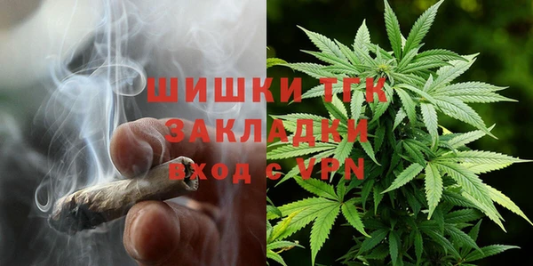 твердый Володарск